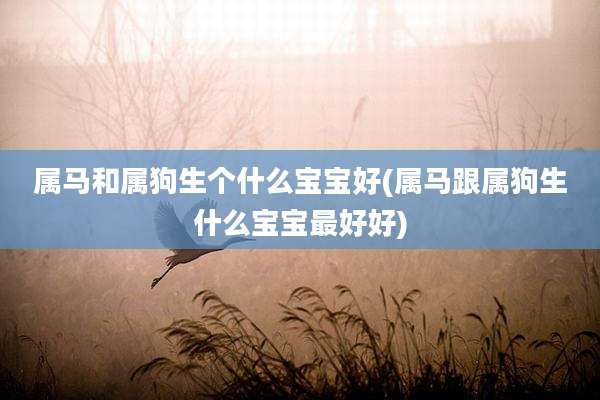 属马和属狗生个什么宝宝好(属马跟属狗生什么宝宝最好好)