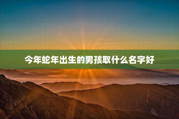 今年蛇年出生的男孩取什么名字好