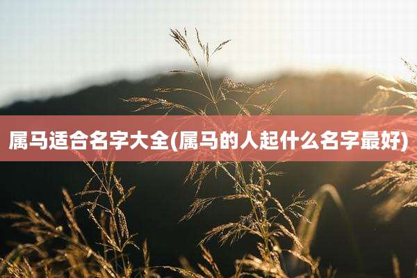 属马适合名字大全(属马的人起什么名字最好)