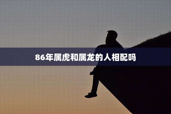 86年属虎和属龙的人相配吗
