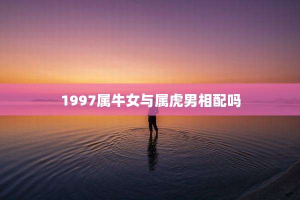 1997属牛女与属虎男相配吗