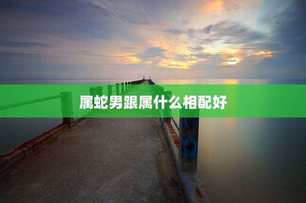 属蛇男跟属什么相配好