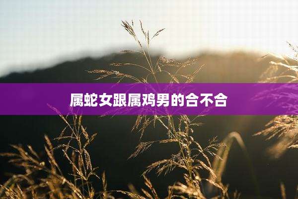 属蛇女跟属鸡男的合不合