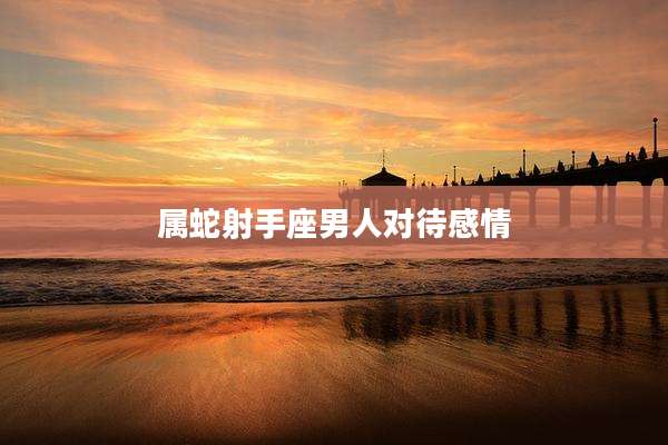 属蛇射手座男人对待感情