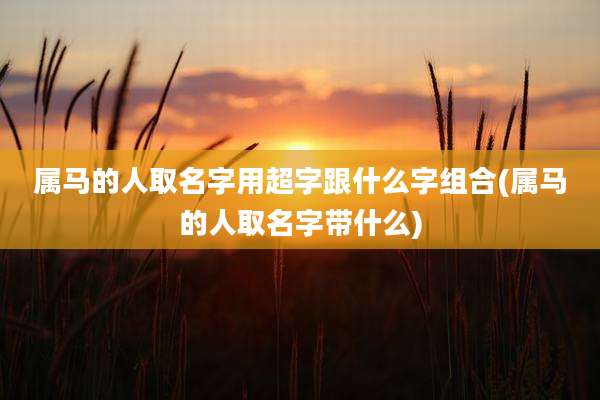 属马的人取名字用超字跟什么字组合(属马的人取名字带什么)