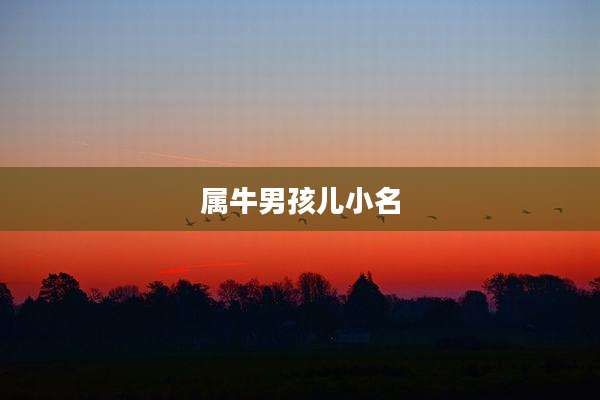 属牛男孩儿小名