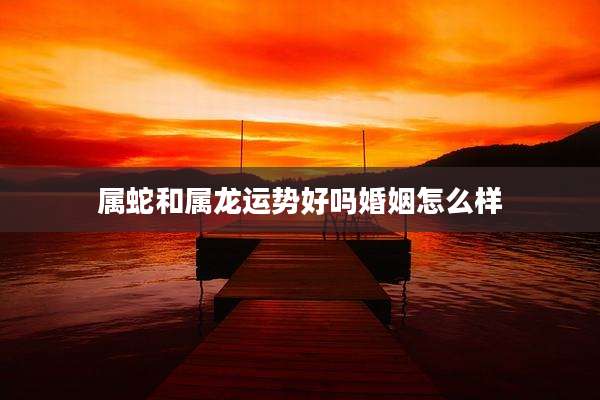 属蛇和属龙运势好吗婚姻怎么样