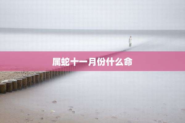 属蛇十一月份什么命