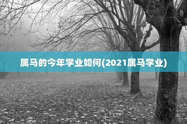属马的今年学业如何(2021属马学业)