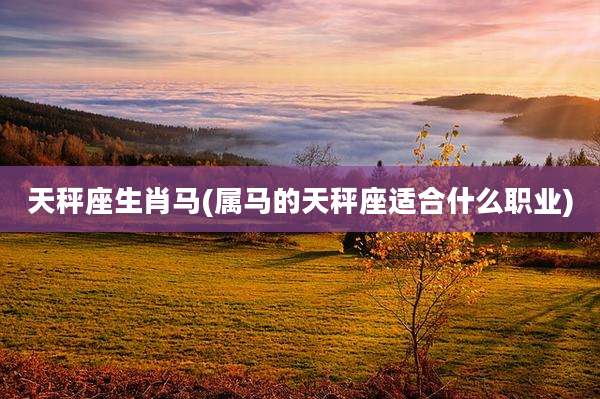 天秤座生肖马(属马的天秤座适合什么职业)