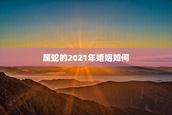 属蛇的2021年婚姻如何