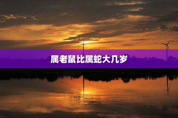 属老鼠比属蛇大几岁