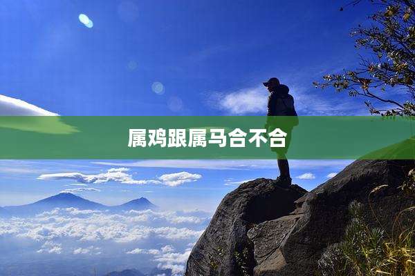 属鸡跟属马合不合