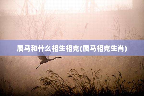 属马和什么相生相克(属马相克生肖)