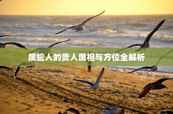 属蛇人的贵人属相与方位全解析