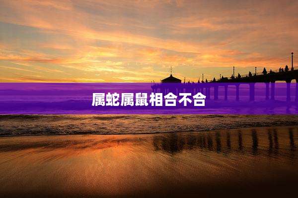 属蛇属鼠相合不合