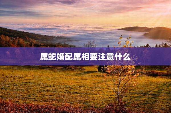 属蛇婚配属相要注意什么