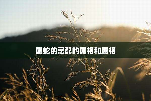 属蛇的忌配的属相和属相