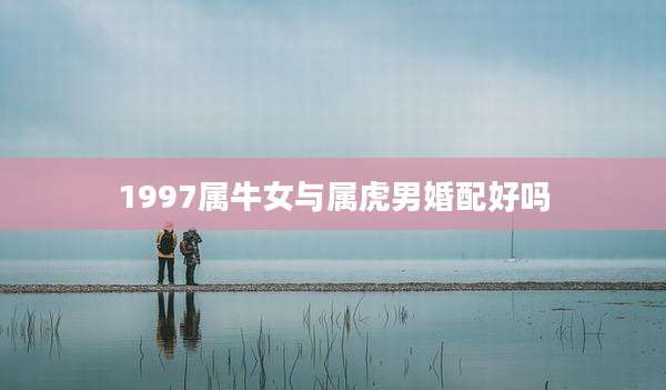 1997属牛女与属虎男婚配好吗