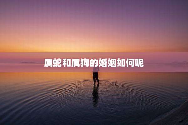 属蛇和属狗的婚姻如何呢