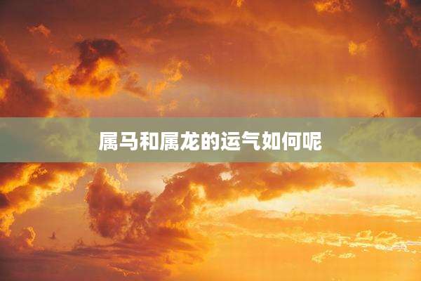 属马和属龙的运气如何呢