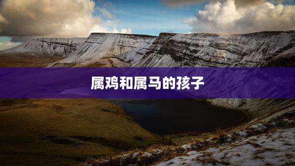属鸡和属马的孩子