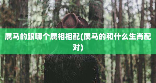 属马的跟哪个属相相配(属马的和什么生肖配对)