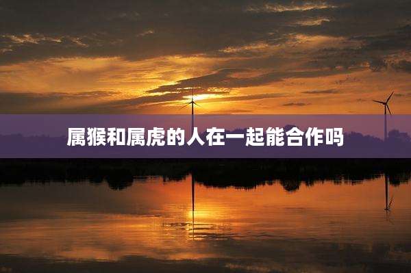 属猴和属虎的人在一起能合作吗