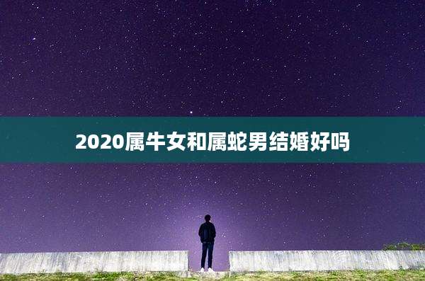 2020属牛女和属蛇男结婚好吗