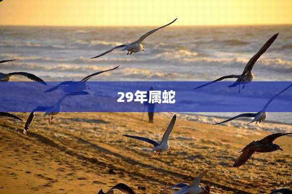 29年属蛇