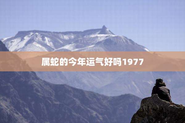 属蛇的今年运气好吗1977
