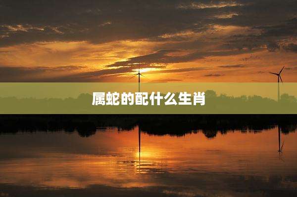 属蛇的配什么生肖