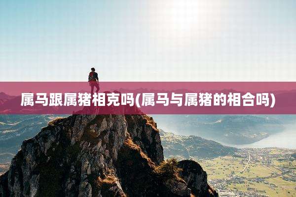 属马跟属猪相克吗(属马与属猪的相合吗)