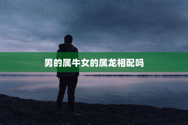 男的属牛女的属龙相配吗