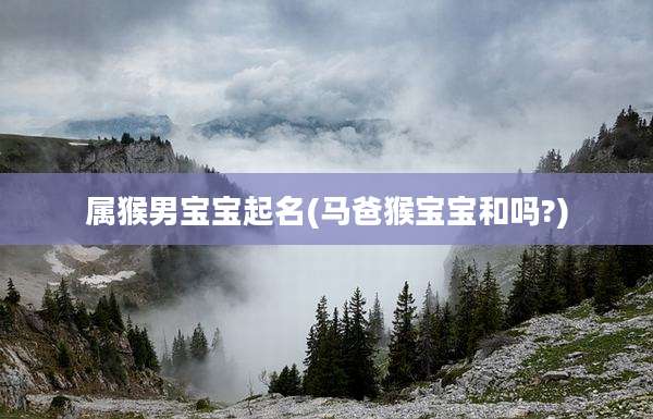 属猴男宝宝起名(马爸猴宝宝和吗?)
