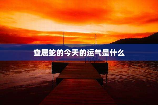 查属蛇的今天的运气是什么