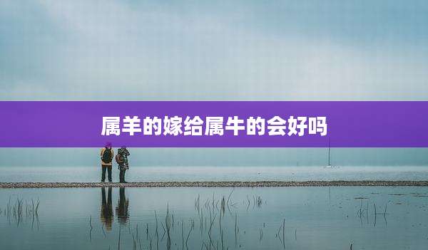 属羊的嫁给属牛的会好吗
