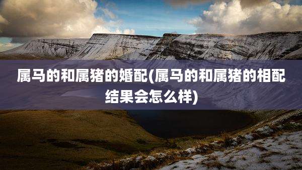 属马的和属猪的婚配(属马的和属猪的相配结果会怎么样)