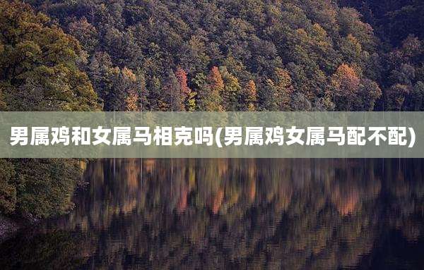 男属鸡和女属马相克吗(男属鸡女属马配不配)