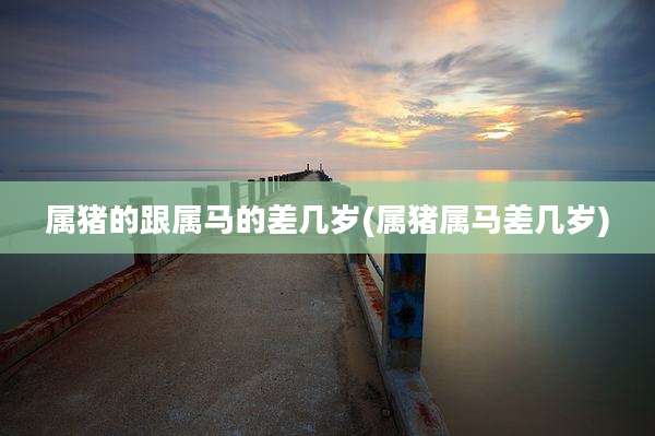 属猪的跟属马的差几岁(属猪属马差几岁)