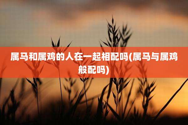 属马和属鸡的人在一起相配吗(属马与属鸡般配吗)