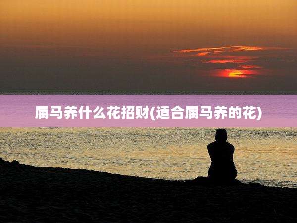 属马养什么花招财(适合属马养的花)