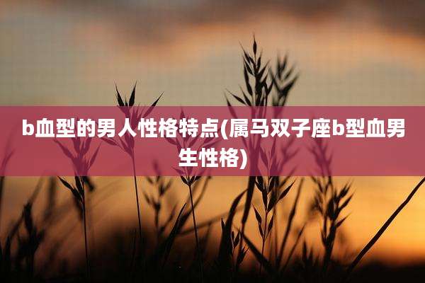 b血型的男人性格特点(属马双子座b型血男生性格)