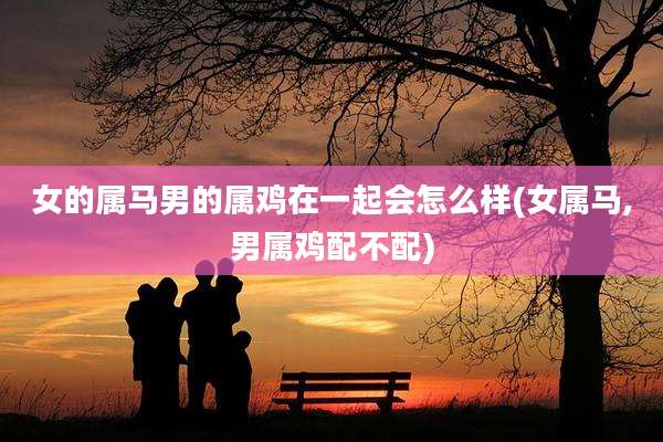 女的属马男的属鸡在一起会怎么样(女属马,男属鸡配不配)