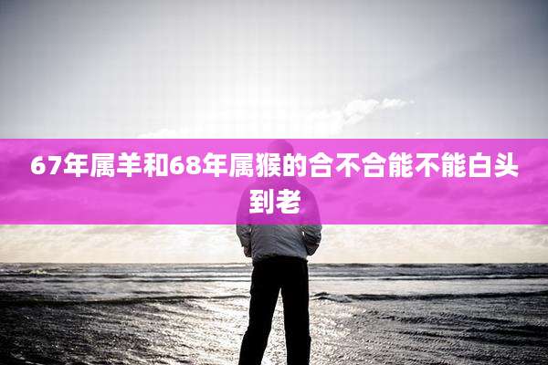 67年属羊和68年属猴的合不合能不能白头到老