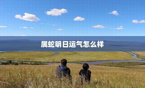 属蛇明日运气怎么样