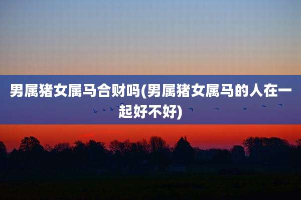 男属猪女属马合财吗(男属猪女属马的人在一起好不好)