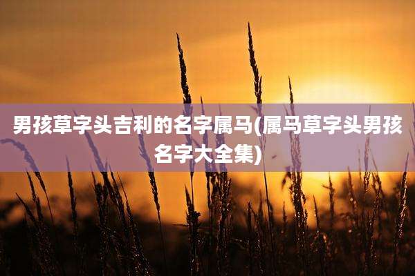 男孩草字头吉利的名字属马(属马草字头男孩名字大全集)