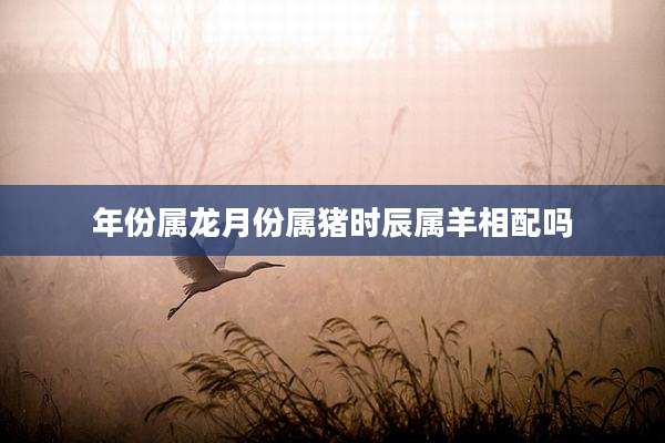 年份属龙月份属猪时辰属羊相配吗