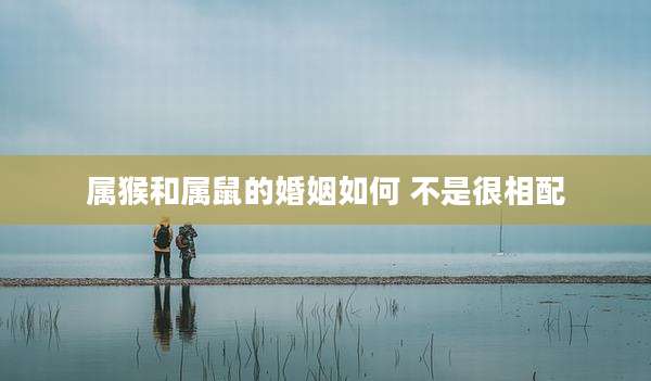 属猴和属鼠的婚姻如何 不是很相配